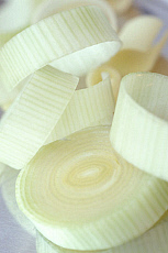 eStockPhoto Scallion Stock Photography