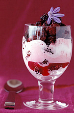 eStockPhoto Food Photos Of Raspberries