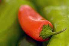 eStockPhoto Capsicum Food Photos