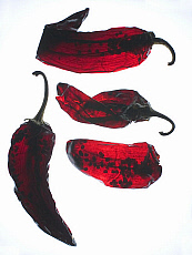 eStockPhoto Chili Stock Photography