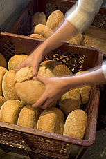 eStockPhoto Food Photos Of Tearing