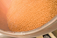 eStockPhoto Peanut Food Photos
