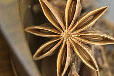 eStockPhoto Aniseed Food Photos