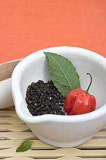 Quality stock photography from estockphoto of 2021-202863-01_T.JPG