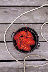 eStockPhoto Shellfish Food Photos