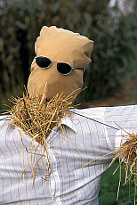 eStockPhoto Scarecrow Stock Photography