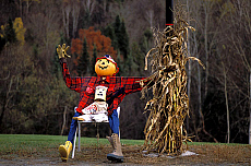 eStockPhoto Scarecrow Stock Photography