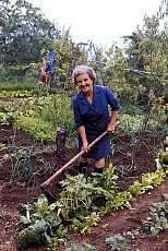 eStockPhoto Food Photos Of Cultivating