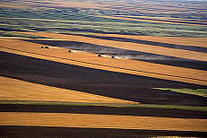 eStockPhoto Food Photos Of Cultivating