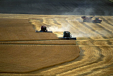 eStockPhoto Food Photos Of Cultivating