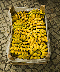 eStockPhoto Food Photos Of Bunches