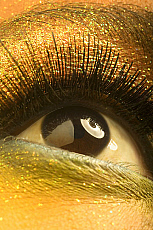 Quality stock photography from estockphoto of iris