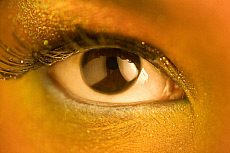 Quality stock photography from estockphoto of iris