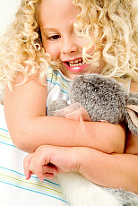 Quality stock photography from estockphoto of rabbit