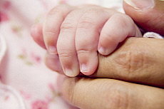 eStockPhoto Food Photos Of Grasping