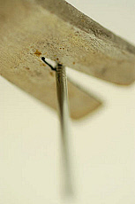 Quality stock photography from estockphoto of 200331-1.jpg