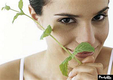 eStockPhoto Sprig Food Photos