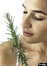 eStockPhoto Sprig Food Photos