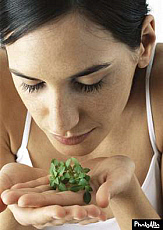 eStockPhoto Sprig Food Photos