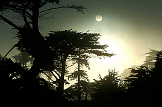 1414-217321-01
&copy; Heeb Photos