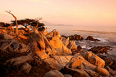 1414-217374-01
&copy; Heeb Photos