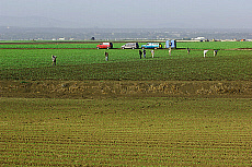 1414-217379-01
&copy; Heeb Photos