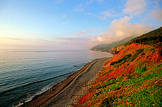 1960-200212-01
&copy; Stephen G. Donaldson